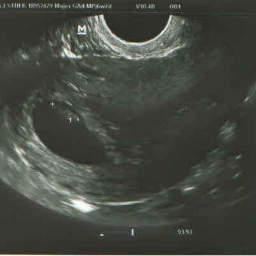 Llsd186's profile picture. 