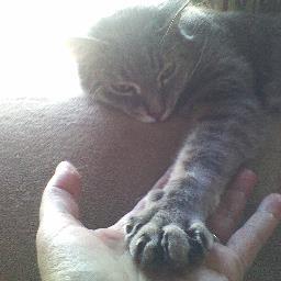 GwendyRaye's profile picture. I am not anti-establishment but I am.....suspicious.