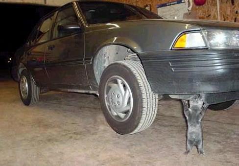 NagTo1's profile picture. 