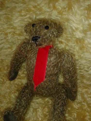 Jasper the Bear. One cheeky bear, One big adventure! Follow the Bear !!
