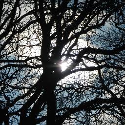But I being poor, have only my dreams; I have spread my dreams under your feet; tread softly because you tread on my dreams. W.B. Yeats