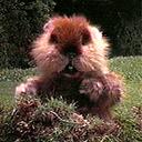 Laura Poling Kime - @laurakime7 - Twitter