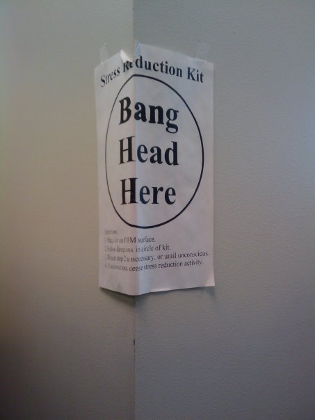 tootsdles's profile picture. 