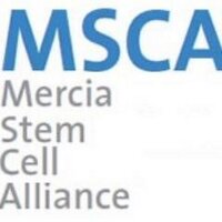 Mercia Stem Cell (@merciastemcell) 's Twitter Profile