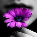 Dani Rosa - @DannicRosa - Twitter