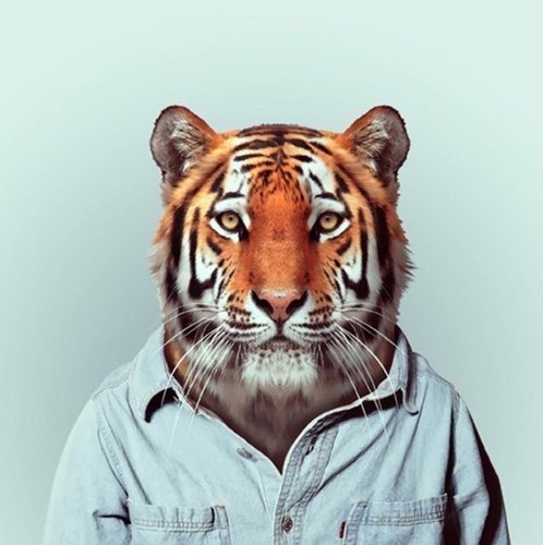 vdyhajsuka's profile picture. 