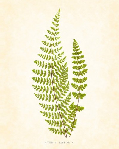 morgatda's profile picture. 하향으로의 여정