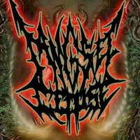 Tangsel corpse grind (@tangselcorpse) 's Twitter Profile