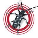ALB Eradication - @StopALB - Twitter