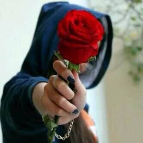 Han_an000's profile picture. 