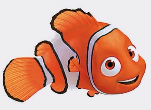 lmNemo's profile picture. Hi I am Nemo and I am lost..