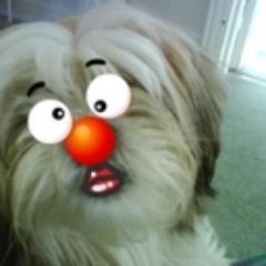 GAZGEBAB's profile picture. old hippy, but happy man