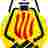 Tradicat's profile image