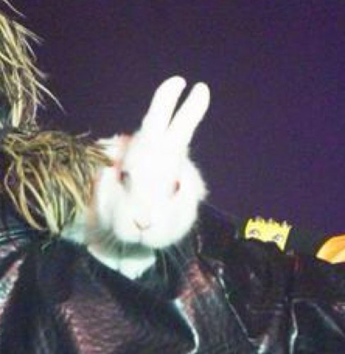 Snuggentino's profile picture. Mystical bunny, albino carrot eater that looks better than you.
