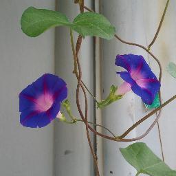봄이다. 다시 시작하는거야~~~