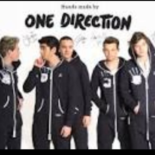 Idols- One Direction•PewDiePie•Andrew and Hali Ducote•