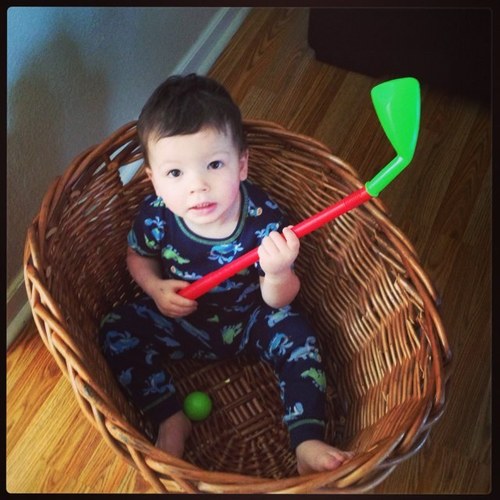 lishylu1's profile picture. 