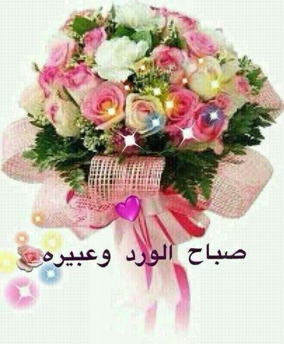 أعشق المثالية....لذا سأسعى لتطوير ذاتي....مهما كلفني ذلك.
