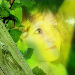 DAIGAStrode's profile picture. 