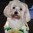 gqueve2's profile image