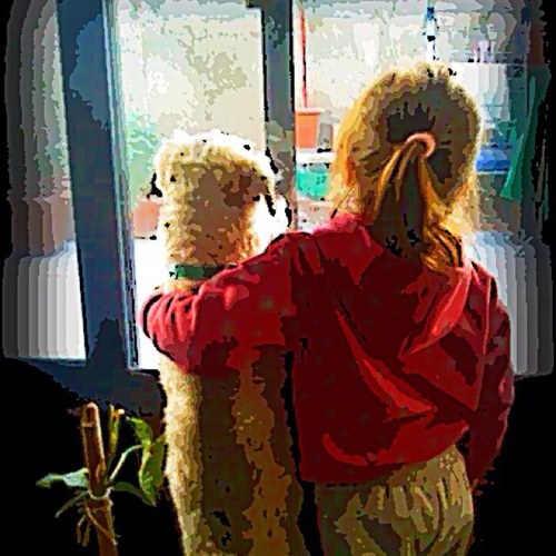 SarahChaherli's profile picture. from syria 3 homs 3 And proud To be B) follow me .. and i'm 14 years old xD