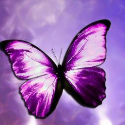 im a kind girl plus i am fans of justin beiber, seleana gomez and carly rae japsen