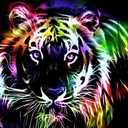 Janell Wilson - @Janell94641274 - Twitter