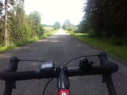 ViaMedia27's profile picture. 