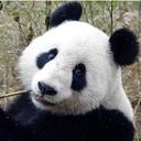 Josh New - @JoshN102 - Twitter