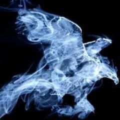 xavitogaming's profile picture. lycéen de 16 ans youtuber minecraftien ( future ) administrateur d'un serveur minecraft stargate nemesis . ip du serveur : [prochainement]