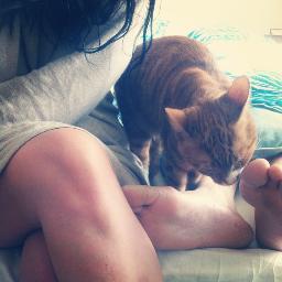 kattbollFTW's profile picture. Tjugonioårig boksamlare med Google-skills och säger alldeles för ofta Du vet, det är som i Vänner när..