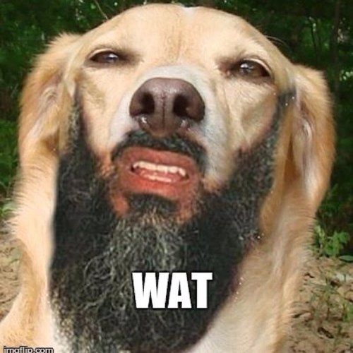 mjbelknap's profile picture. 