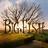 bigfishfilm1's profile image