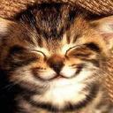 Wallace Bowman - @wallacebowman - Twitter