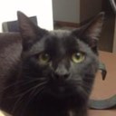 Bob Allsop - @BobAllsop37 - Twitter