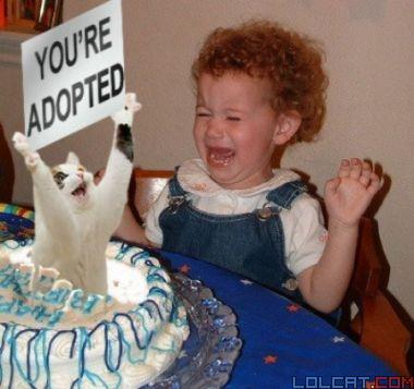 You know your adopted when...