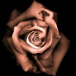 L'amitié est une écoute quand le cœur est en déroute ,l'amitié c'est de l'or que l'on garde comme un trésor.........