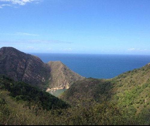 Robertopou's profile picture. 