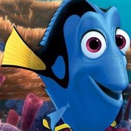 DoryYaFish's profile picture. shit im lost lol