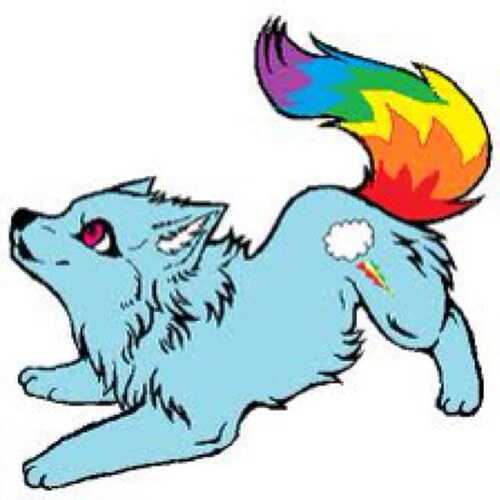SPAKLING LIKE A PUPPY DASH