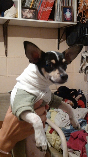 Oscargb78's profile picture. 