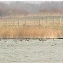 Nathan Mortier - @NathanMortier1 - Twitter