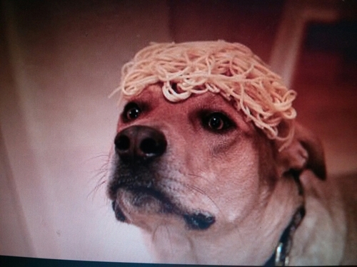 JackoFever's profile picture. 