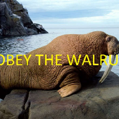 Obey the walrus” — Steemit