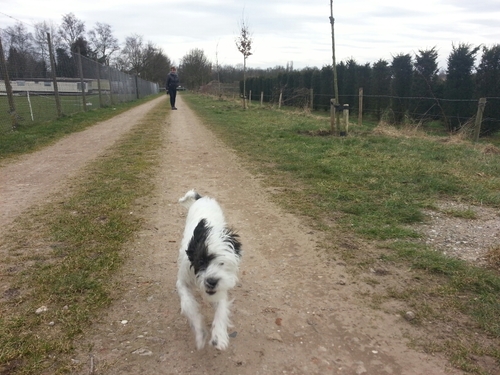bouwjaar: 14 - 02 - 1998