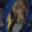 Mandy Stein - @MandyStein33 - Twitter