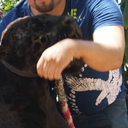 Efraín Colín - @psicologoefrain - Twitter