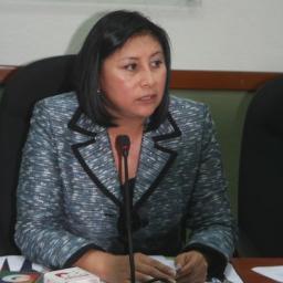 Mujer, Guatemalteca, Diputada al Congreso de la República, al servicio del Pueblo.