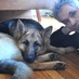 Mark SaFranko (@marksafranko) Twitter profile photo Mark SaFranko (@marksafranko) Twitter profile photo
