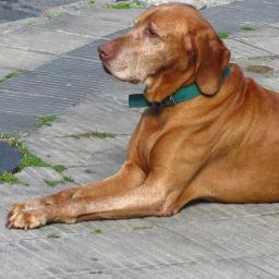 mabel839's profile picture. 